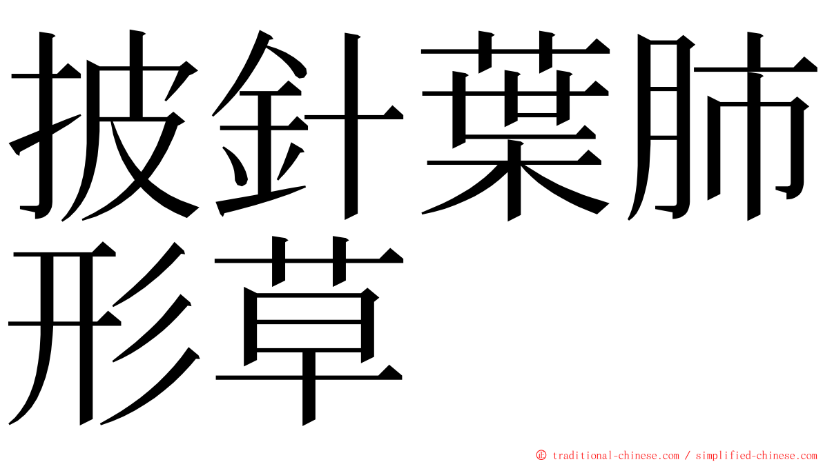 披針葉肺形草 ming font
