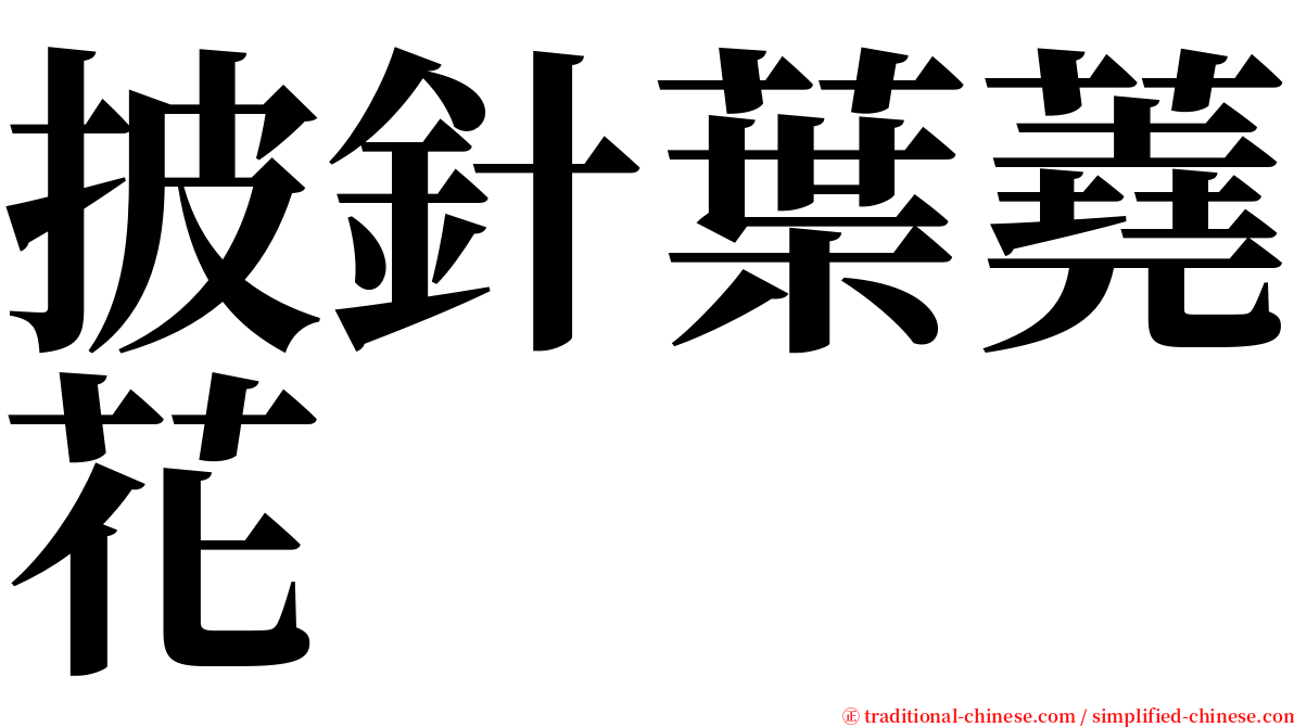 披針葉蕘花 serif font