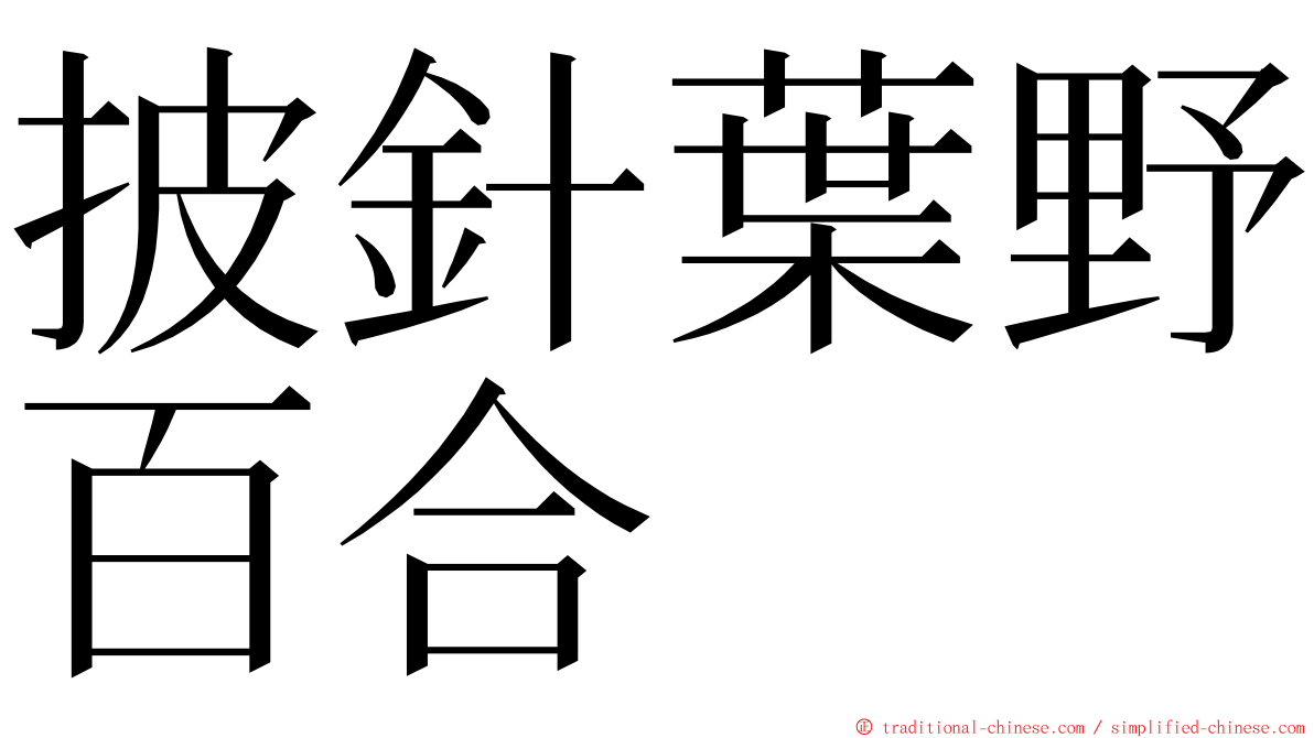 披針葉野百合 ming font