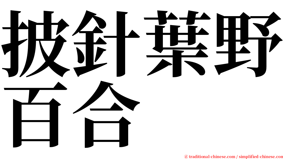 披針葉野百合 serif font