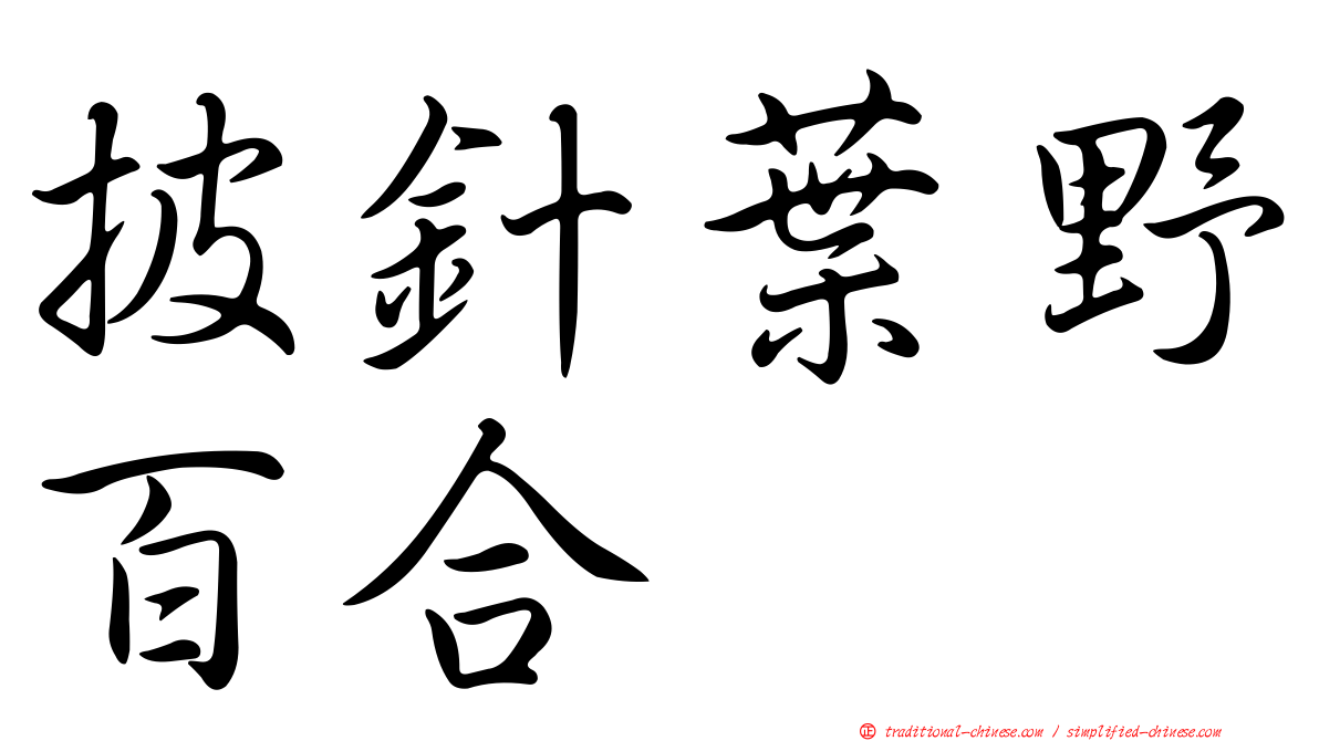 披針葉野百合