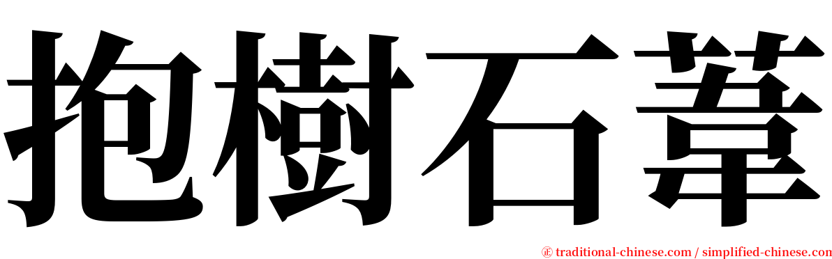 抱樹石葦 serif font