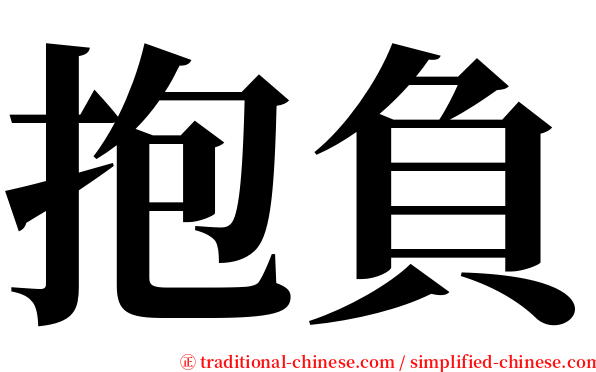 抱負 serif font