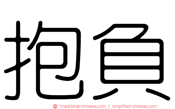 抱負