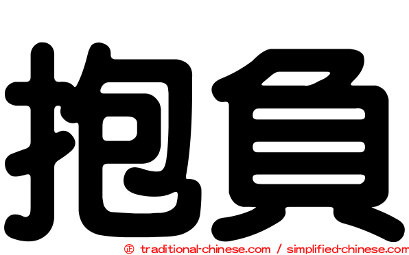抱負