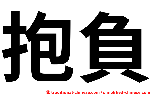 抱負