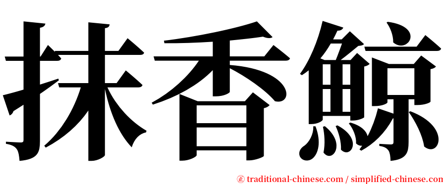 抹香鯨 serif font