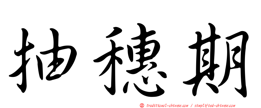 抽穗期