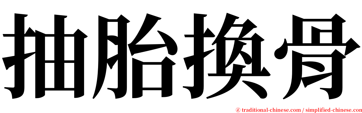 抽胎換骨 serif font