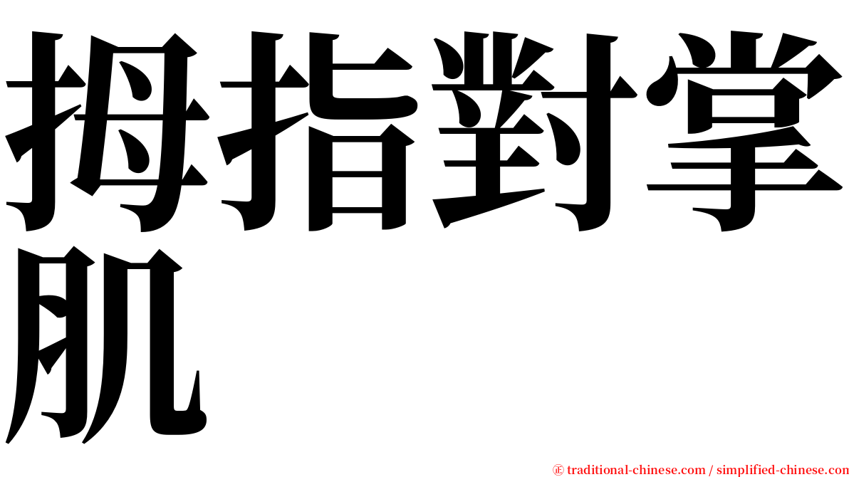 拇指對掌肌 serif font