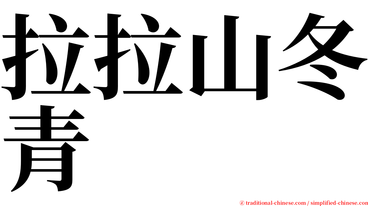 拉拉山冬青 serif font