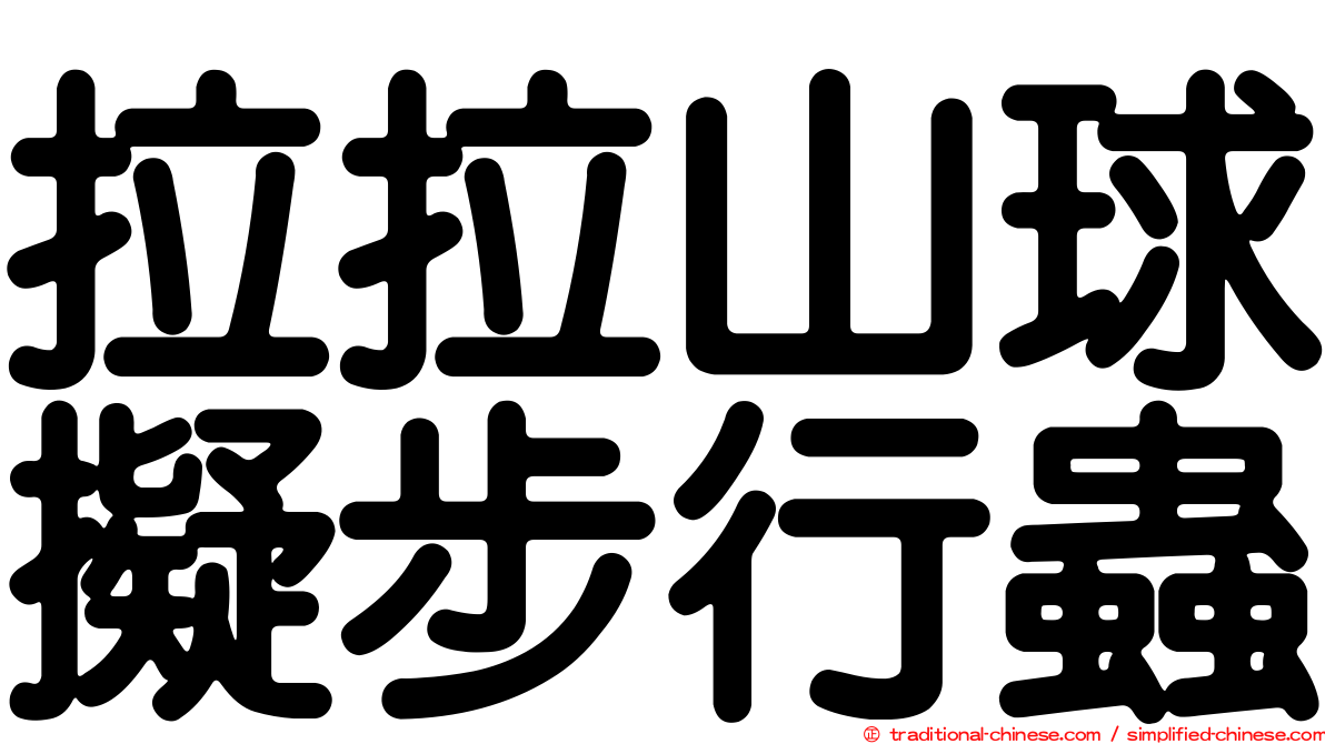 拉拉山球擬步行蟲