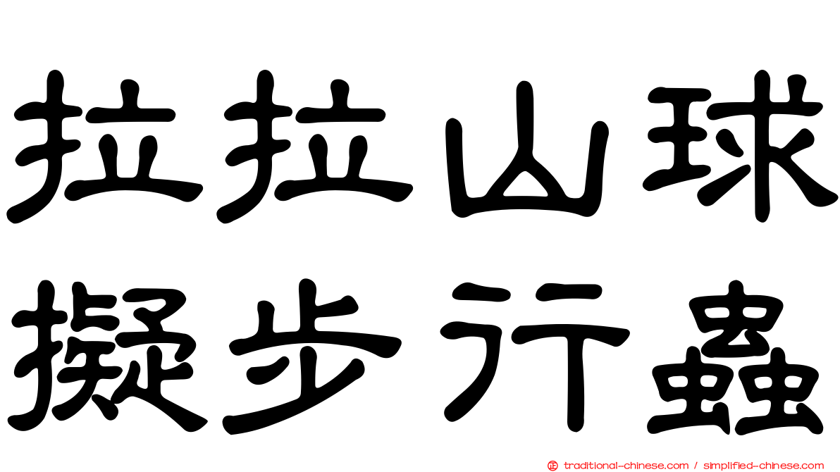 拉拉山球擬步行蟲