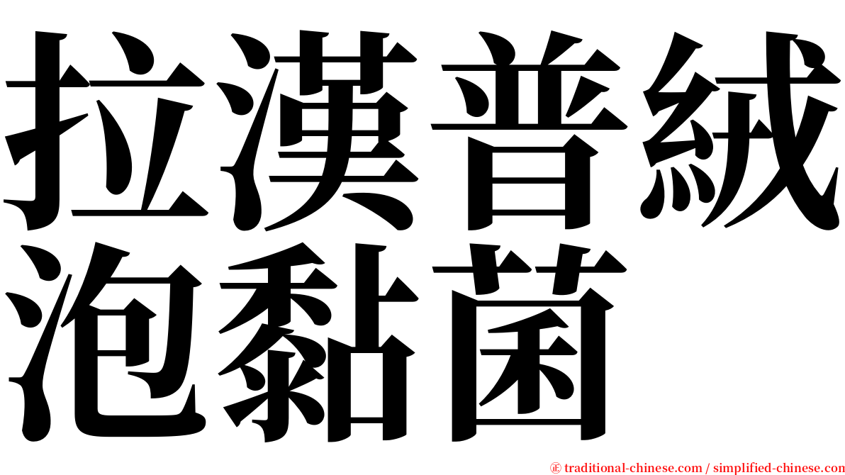 拉漢普絨泡黏菌 serif font