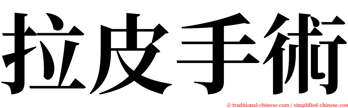 拉皮手術 serif font