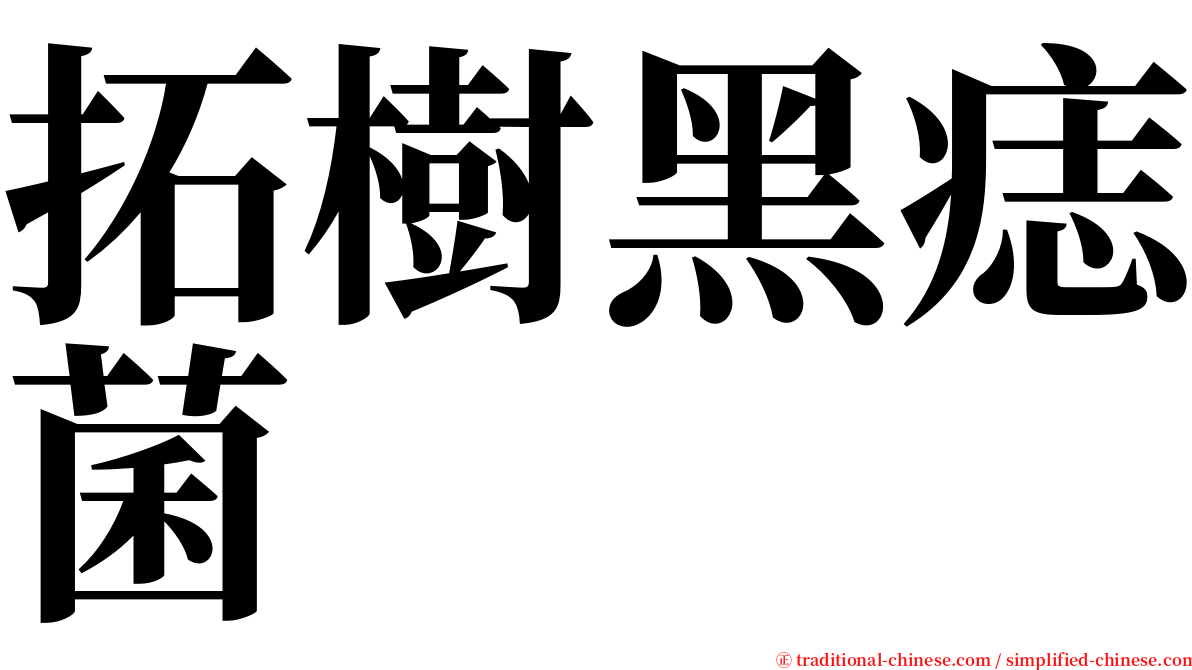 拓樹黑痣菌 serif font