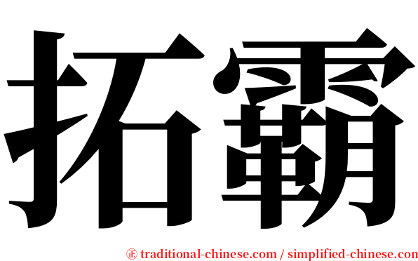 拓霸 serif font