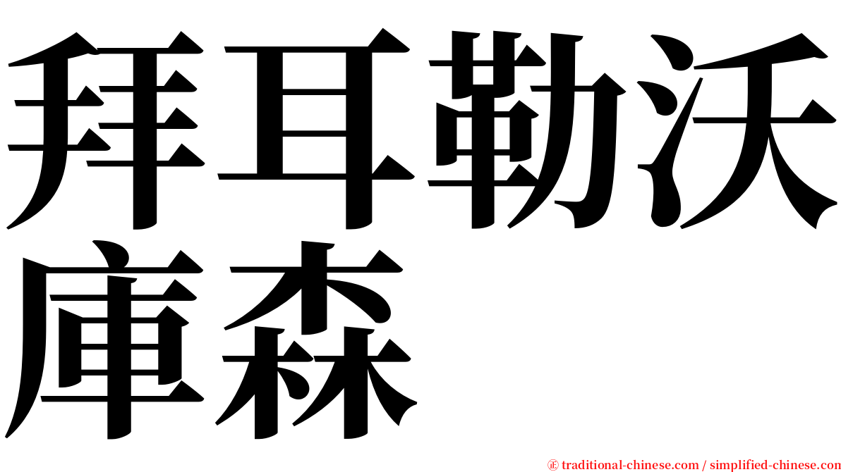 拜耳勒沃庫森 serif font