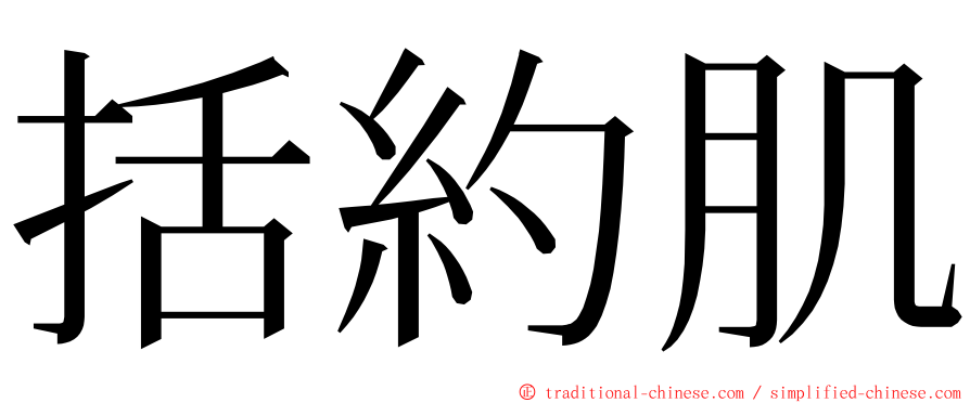 括約肌 ming font