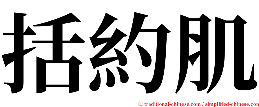 括約肌 serif font