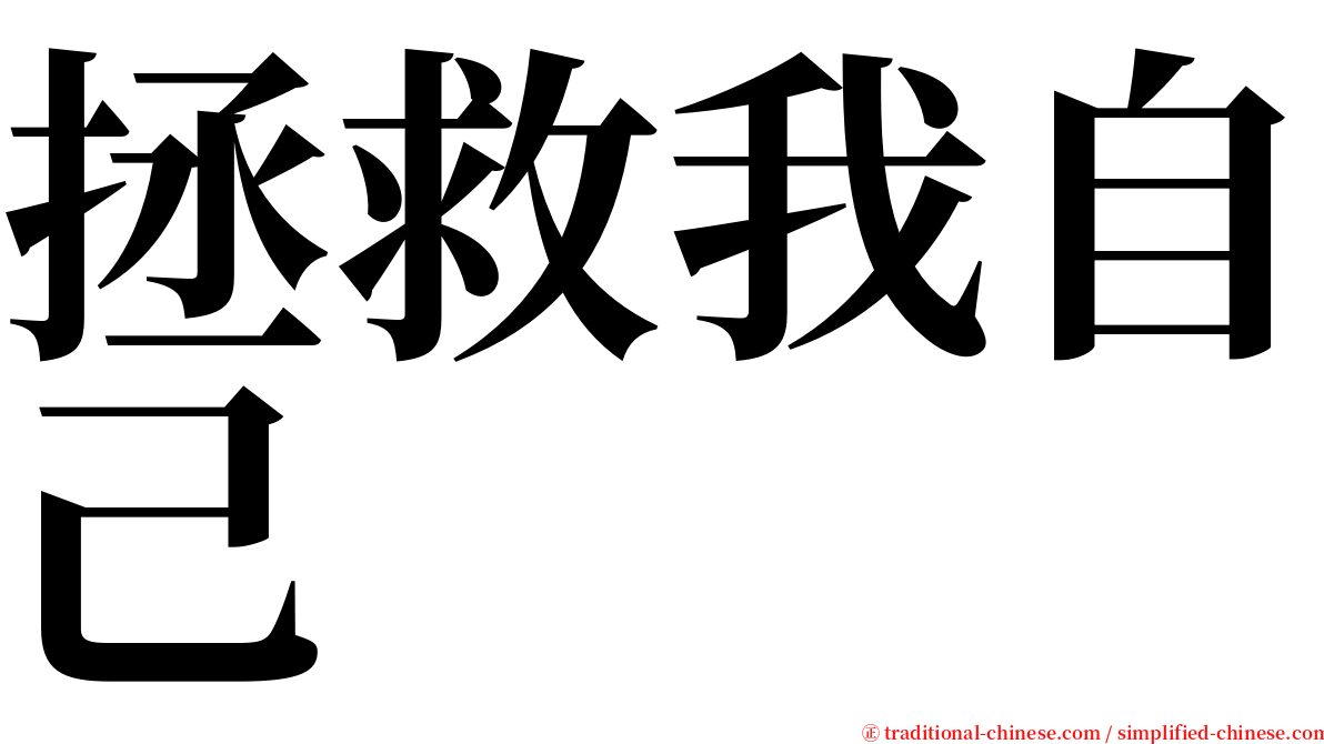 拯救我自己 serif font