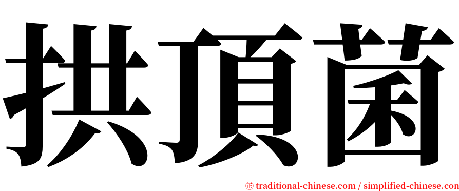 拱頂菌 serif font