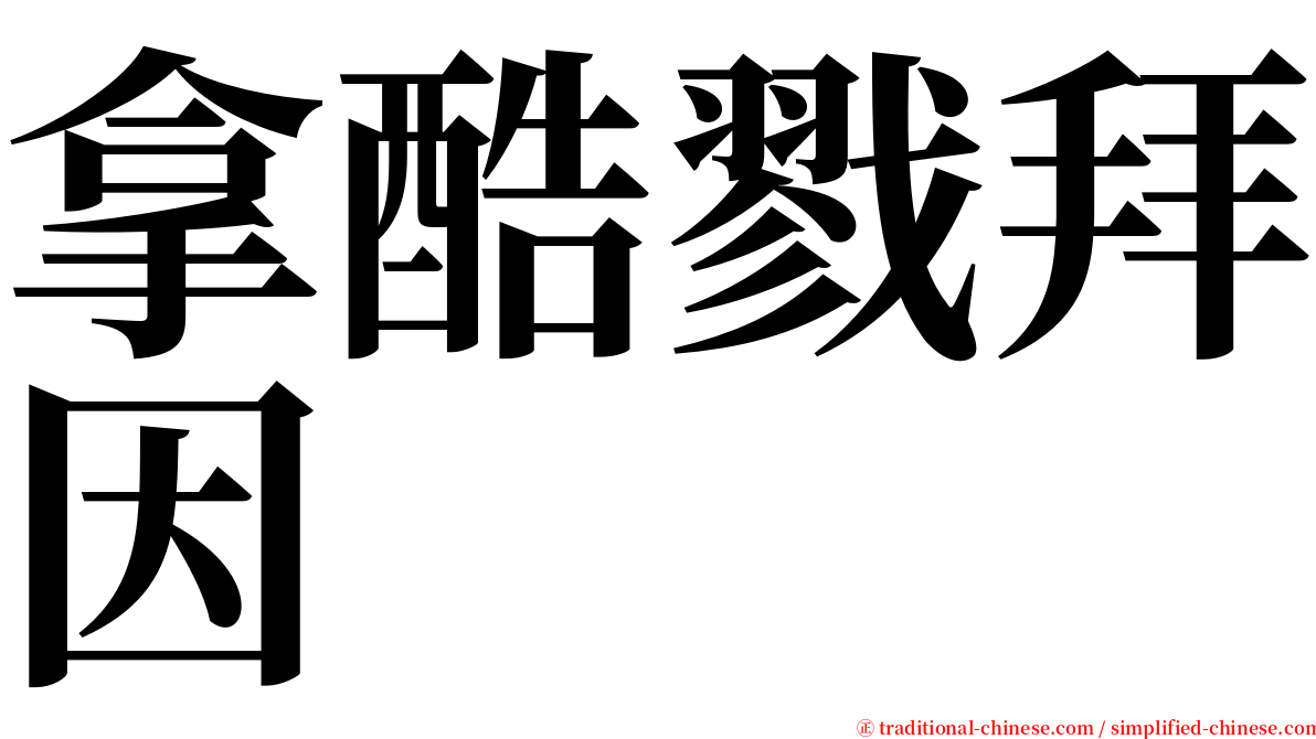 拿酷戮拜因 serif font