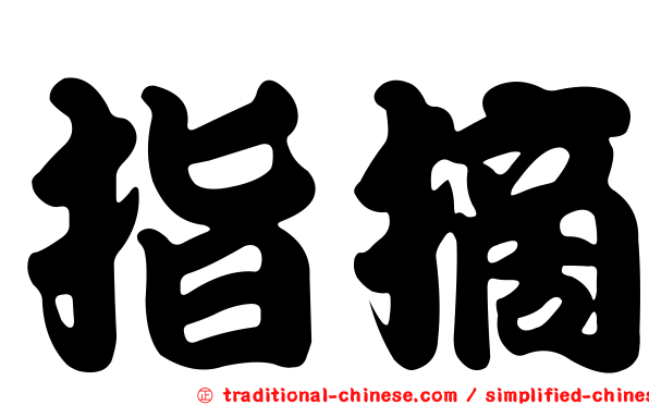 指摘