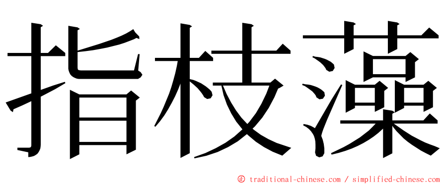 指枝藻 ming font