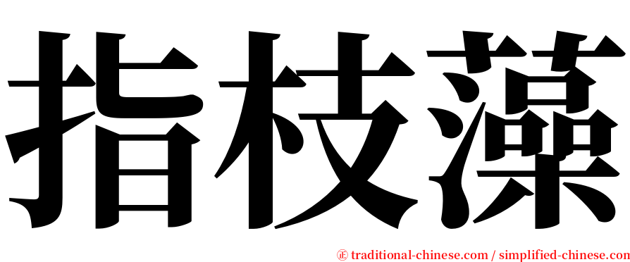 指枝藻 serif font