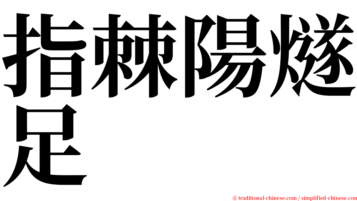 指棘陽燧足 serif font