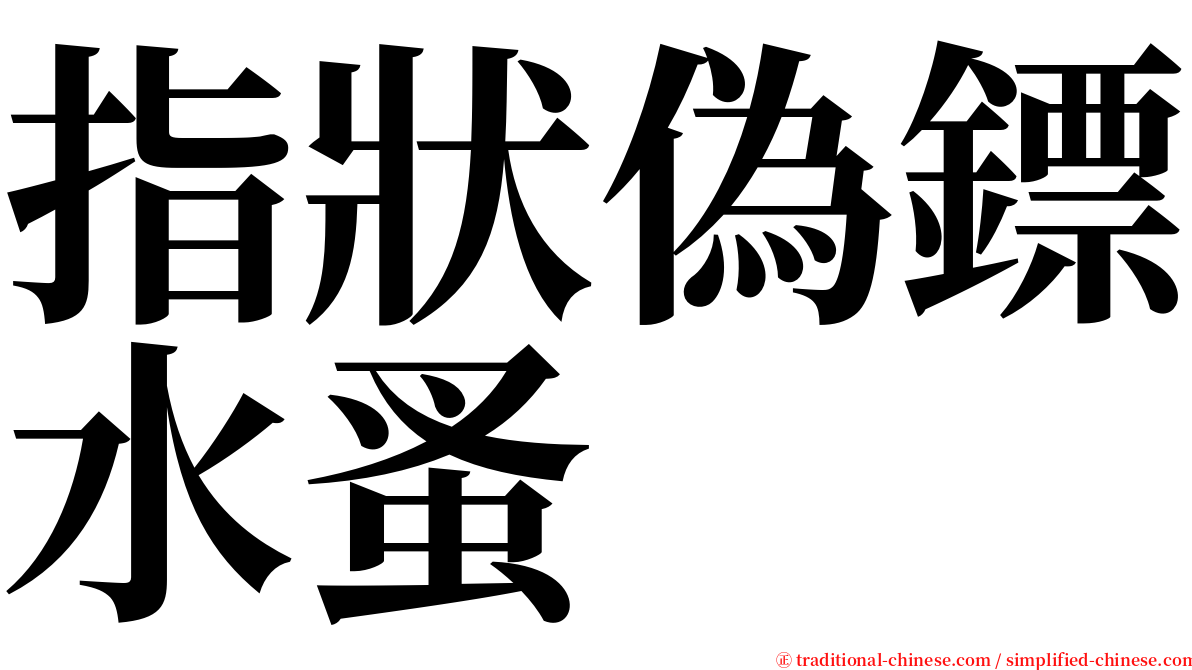 指狀偽鏢水蚤 serif font