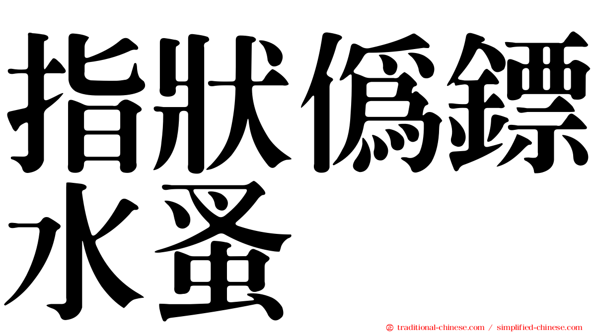 指狀偽鏢水蚤