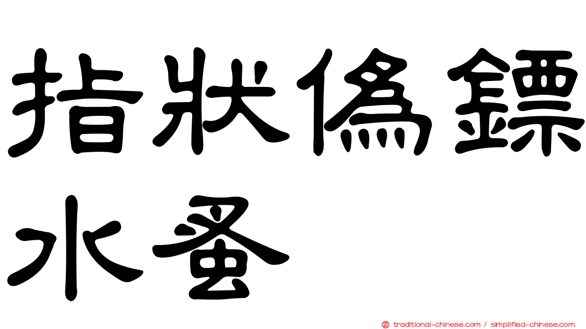 指狀偽鏢水蚤