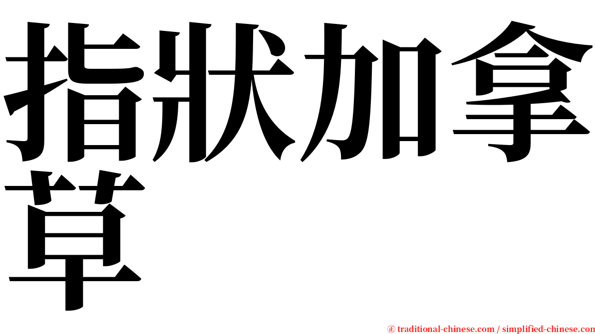 指狀加拿草 serif font