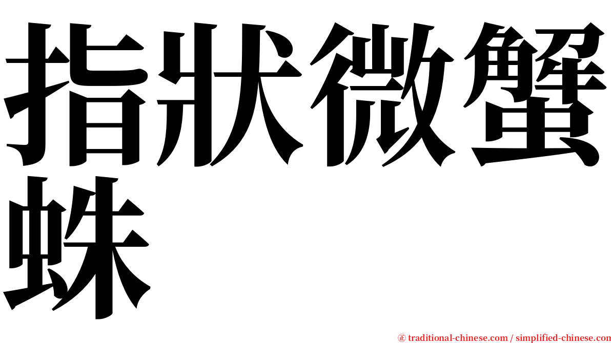 指狀微蟹蛛 serif font