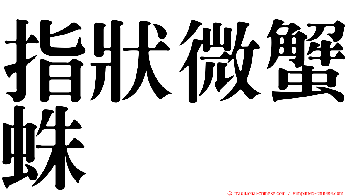 指狀微蟹蛛