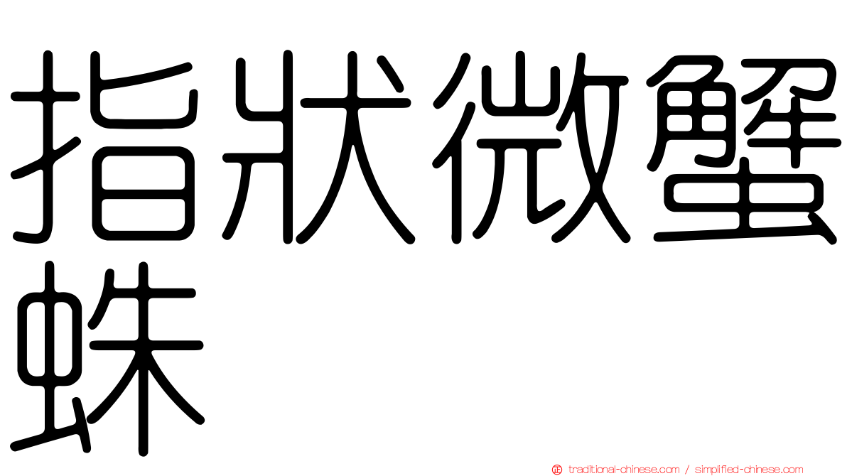 指狀微蟹蛛