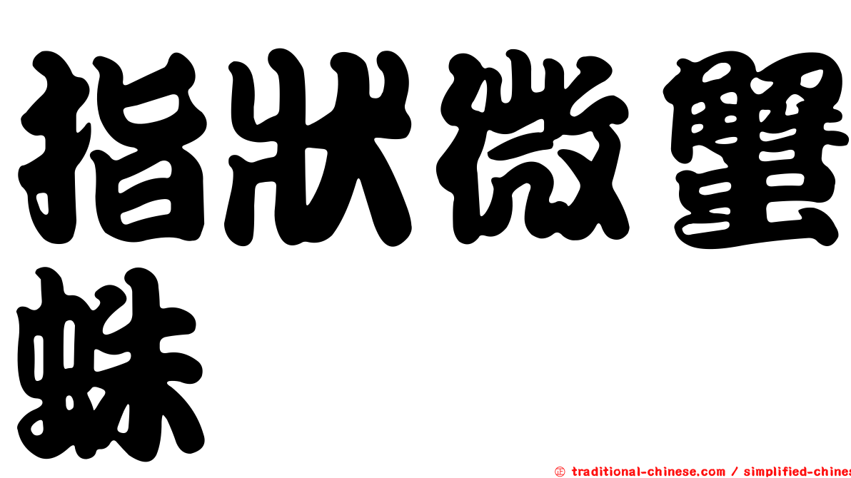 指狀微蟹蛛