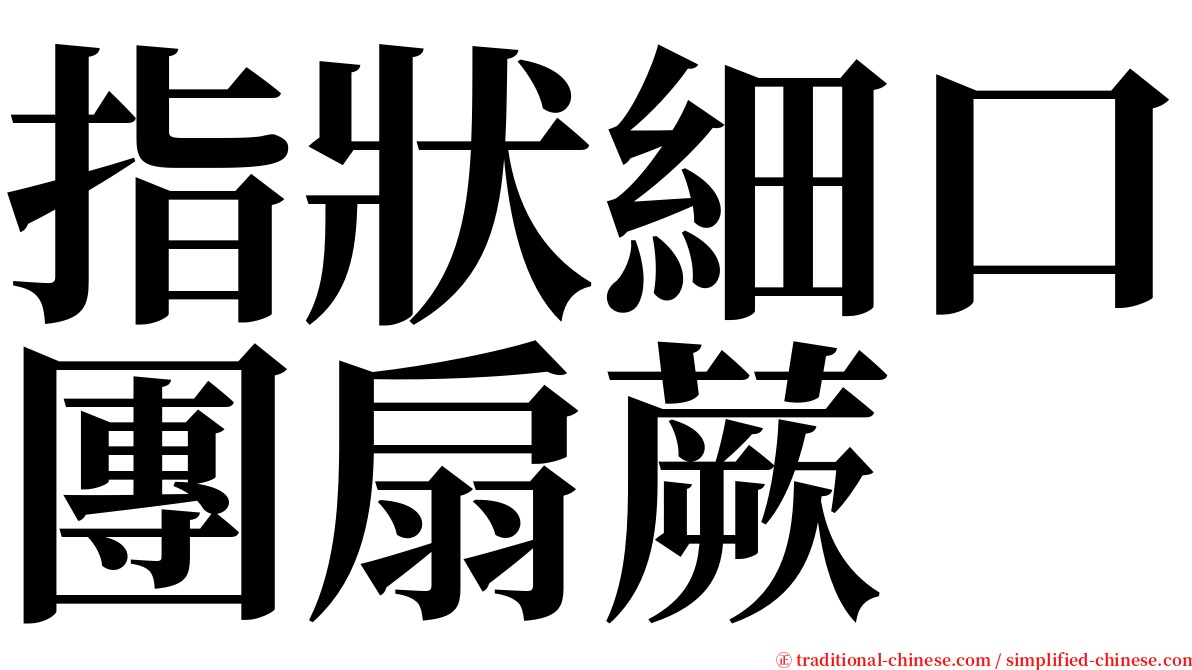 指狀細口團扇蕨 serif font