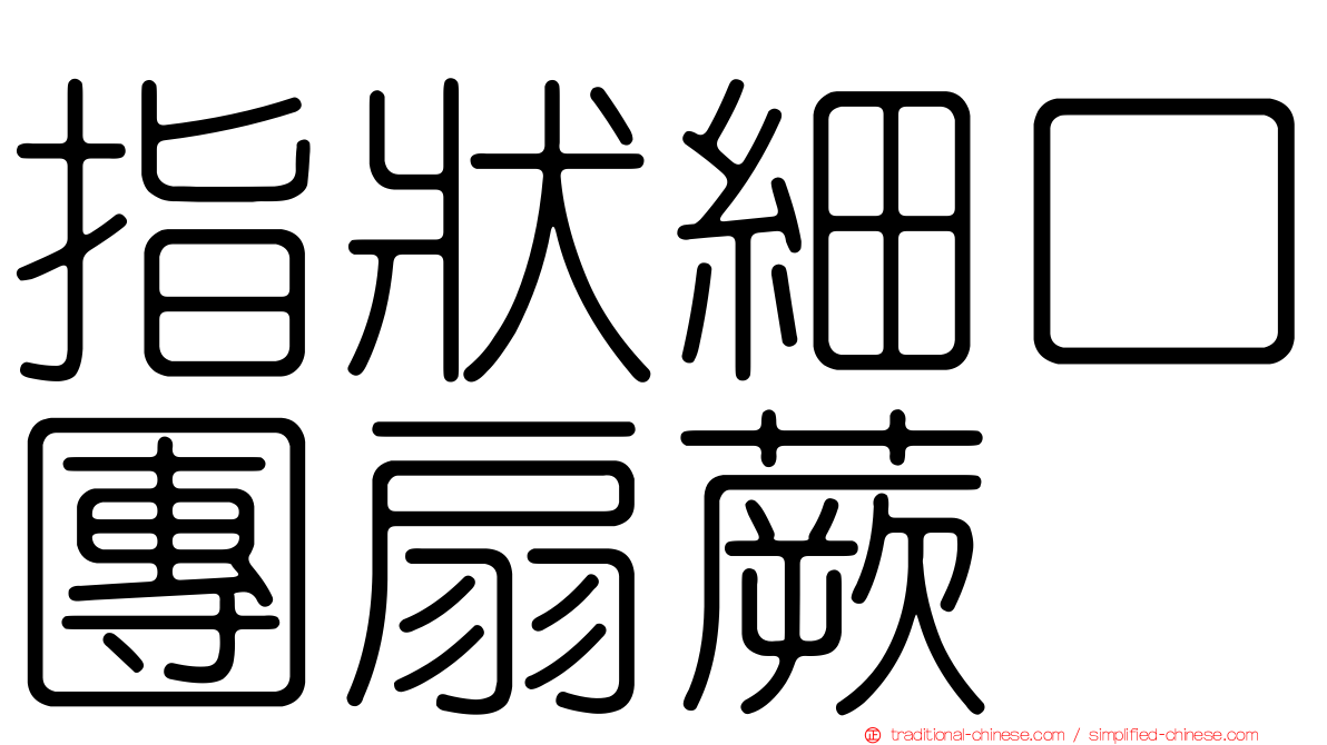 指狀細口團扇蕨