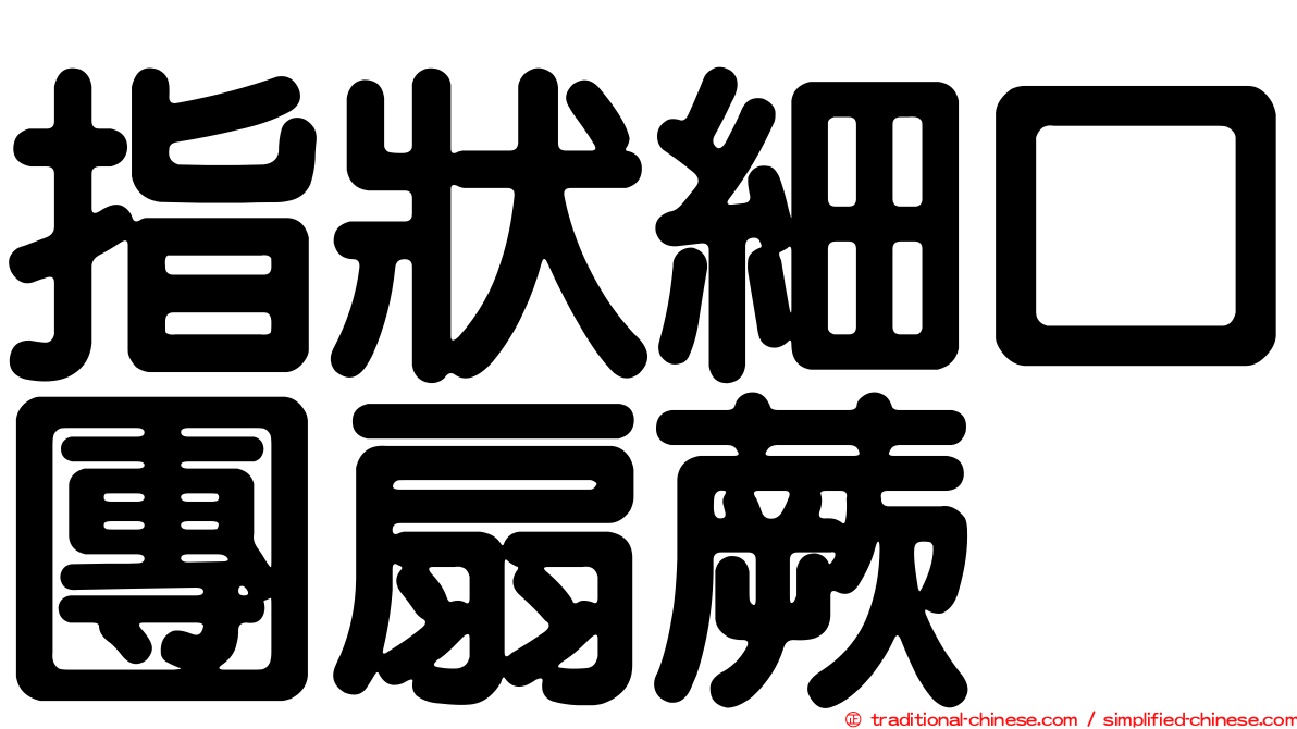 指狀細口團扇蕨