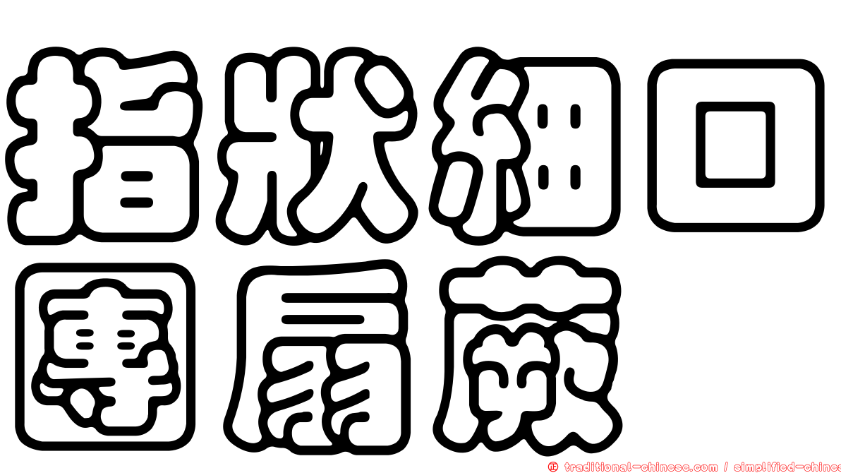 指狀細口團扇蕨