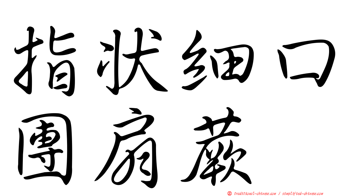 指狀細口團扇蕨