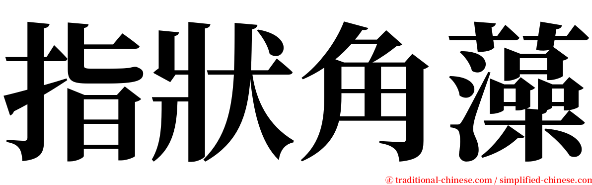 指狀角藻 serif font