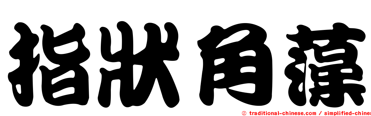 指狀角藻