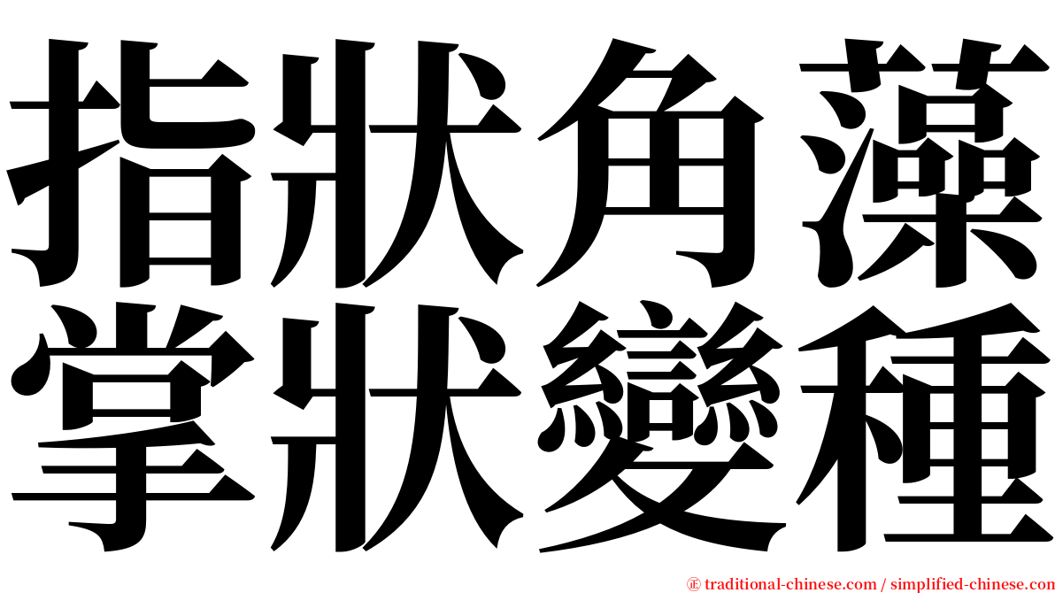 指狀角藻掌狀變種 serif font