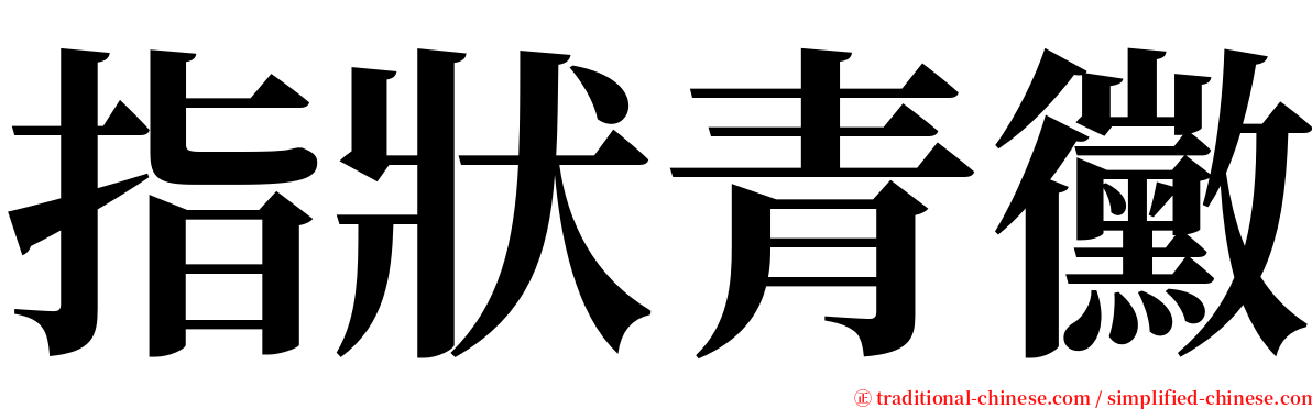 指狀青黴 serif font