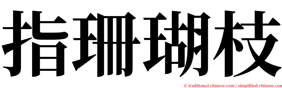 指珊瑚枝 serif font