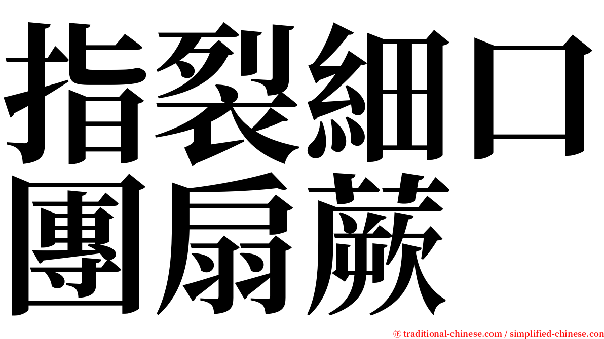 指裂細口團扇蕨 serif font